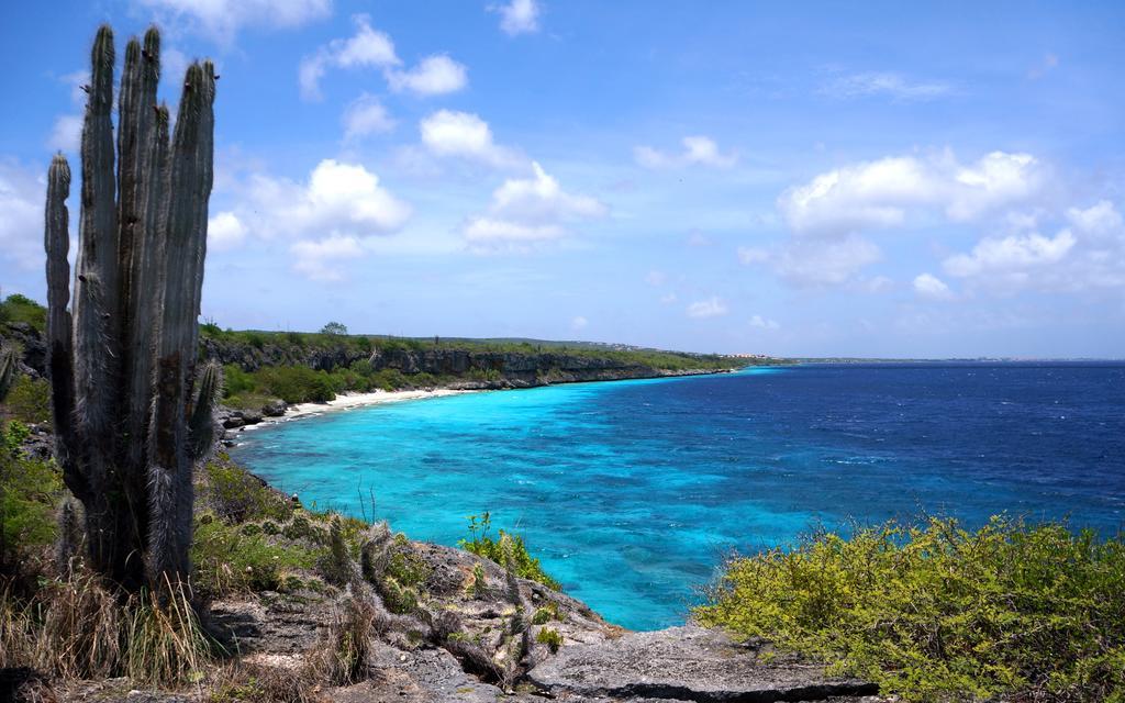 Dormio Bonaire Village Room photo