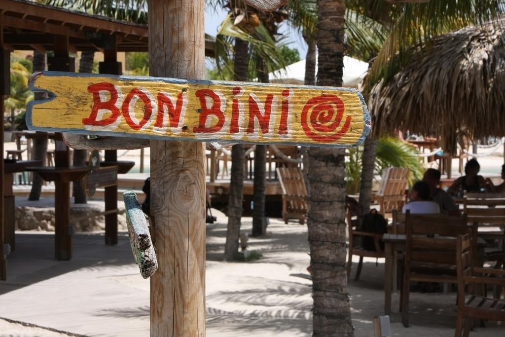 Dormio Bonaire Village Room photo